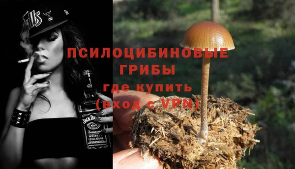 ГАЛЛЮЦИНОГЕННЫЕ ГРИБЫ Алексеевка