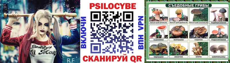 Псилоцибиновые грибы GOLDEN TEACHER  наркотики  Черноголовка 